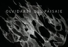 olvidarse del paisaje (ebook)-guillermo mena-9789874830449