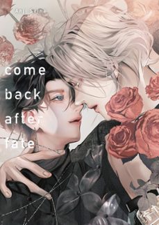 comeback after fate-seina anji-9791387822149