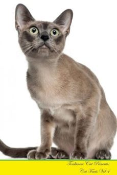 tonkinese cat presents-9781526965059