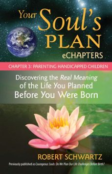 your soul's plan echapters - chapter 3: parenting handicapped children (ebook)-robert schwartz-9781583946459