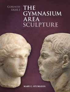 the gymnasium area (ebook)-mary c. sturgeon-9781621390459