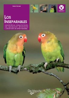 los inseparables (ebook)-gianni ravazzi-9781646999859