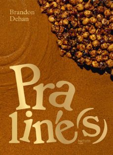 praliné(s) (ebook)-brandon dehan-9782017379959