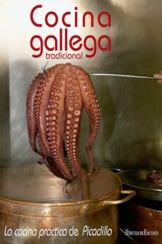 cocina gallega tradicional. la cocina de picadillo (ebook)-9788412321159