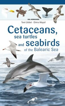 cetaceans, sea turtles and seabirds of the balearic sea-9788413562759