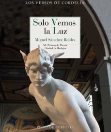 solo vemos la luz (xl premio de poesia ciudad de badajoz)-9788419124159