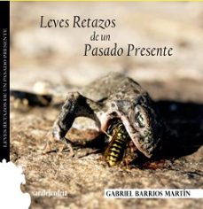 leves retazos de un pasado presente-gabriel barrios martin-9788494766459