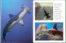 tiburones-9788499135359