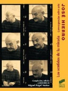 jose hierro: los sentidos de la mirada-miguel angel muñoz-9788499589459
