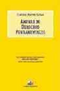 amparo de derechos fundamentales: el viaje del derecho constituci onal hacia su efectividad-9789875072459