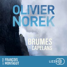 dans les brumes de capelans (audiolibro)-olivier norek-9791036621659