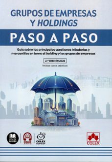 grupos de empresas y holdings. paso a paso-9791370116859