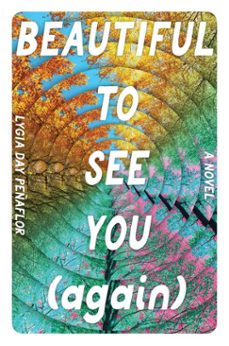 beautiful to see you (again) (ebook)-lygia day peñaflor-9798347103959