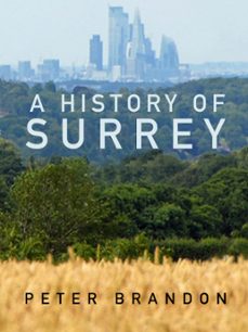 a history of surrey (ebook)-peter brandon-9780750998369