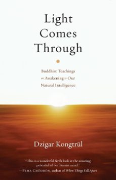 light comes through (ebook)-dzigar kongtrul-9780834824669