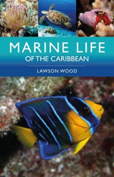 marine life of the caribbean (ebook)-lawson wood-9781399419369
