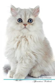 persian cat affirmations workbook persian cat presents-9781526973269