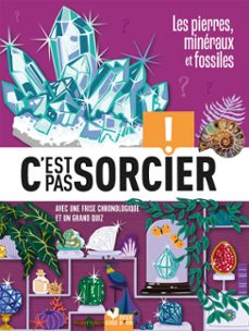c'est pas sorcier - fossiles, pierres et mineraux (ebook)-eric mathivet-9782017893769