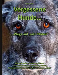 vergessene hunde (ebook)-9783758352669