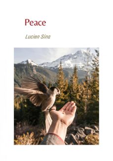 peace (ebook)-9783759857569