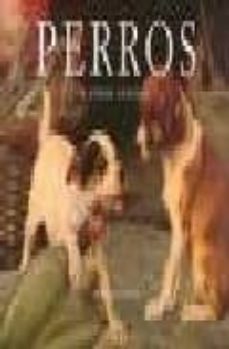 perros y otros canidos (ofertas taschen)-9783822865569