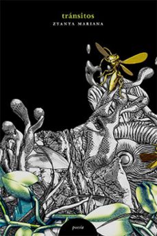 transitos (ebook)-zyanya mariana mejía ascencio-9786079888169