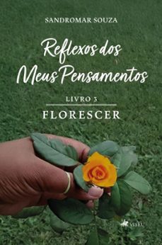 reflexos dos meus pensamentos (ebook)-sandromar souza-9786528019069