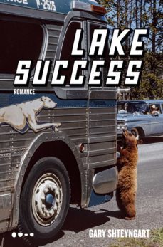 lake success (ebook)-9786580309269