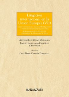 litigacion internacional en la union europea (vii)-celia maria caamina dominguez-9788410788169