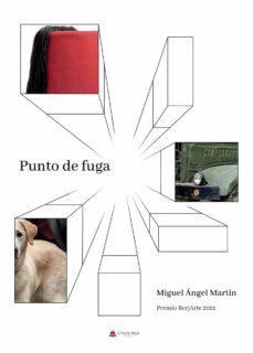 punto de fuga (ebook)-miguel angel martin herranz-9788411554169