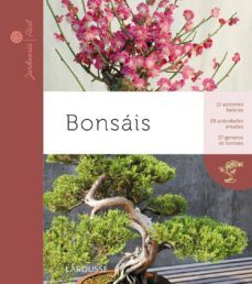 bonsai-9788415411369