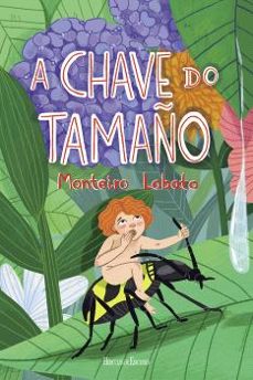 a chave do tamaño-jose bento renato monteiro lobato-9788418966569
