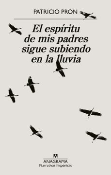 el espiritu de mis padres sigue subiendo en la lluvia (ebook)-patricio pron-9788433926869