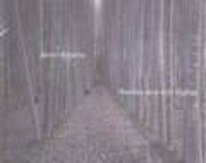 huellas que son signos-javier algarra-9788478075669