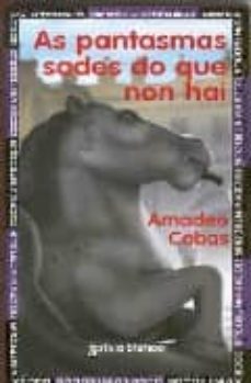 as pantasmas sodes do que non hai-9788478245369