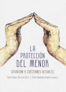 la proteccion del menor: situacion y cuestiones actuales-9788490457269