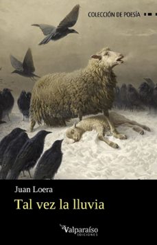 tal vez la lluvia-juan loera-9791387538569