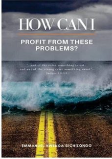 how  can i profit from these problems? (ebook)-kwenga emmanuel sichilongo-9798227614469