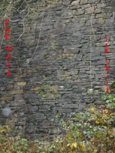 the wall (ebook)-sam smith-9781005721879