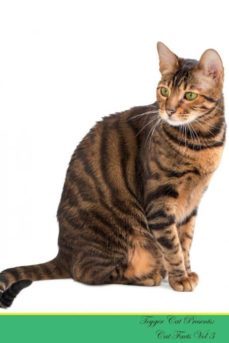 toyger cat presents-9781526964779