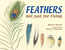 feathers (ebook)-melissa stewart-9781607347279