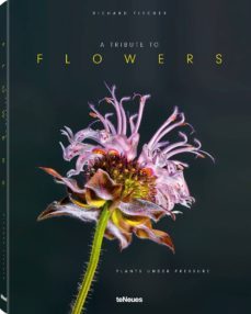a tribute to flowers-richard fischer-9783961711079