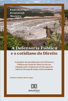 a defensoria pública e o cotidiano do direito (ebook)-paulo henrique drummond monteiro-9786527003779