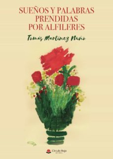 sueños y palabras prendidas por alfileres (ebook)-9788411287579
