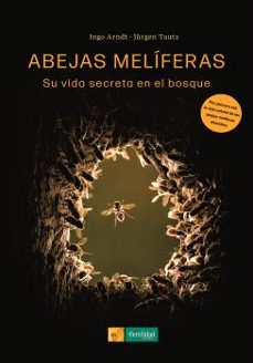 abejas meliferas-jurgen tautz-9788412587579