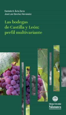 las bodegas de castilla y leon (ebook)-carmelo a. avila zarza-jose luis sanchez hernandez-9788413110479