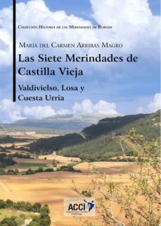 las siete merindades de castilla vieja - tomo ii (ebook)-maria del carmen arribas magro-9788417519179