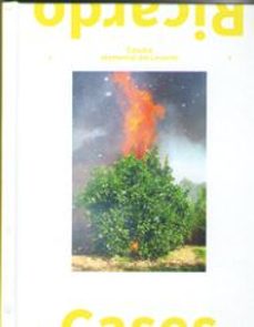 ricardo cases: estudio elemental de levante-sonia berger bengoa-horacio fernandez martinez-9788445137079