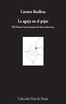 la aguja en el pajar-9788498953879