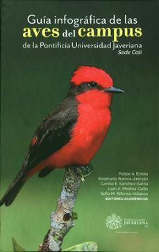 -felipe a y otros editores academicos estela-9789585177079